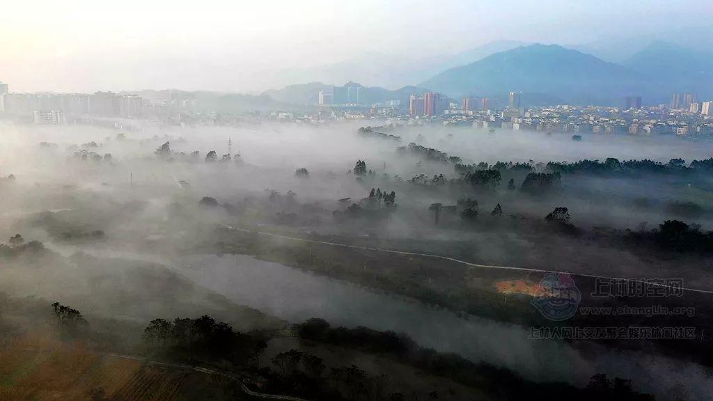 月光影视