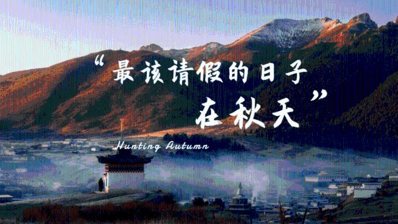 全民烧脑3去广告版