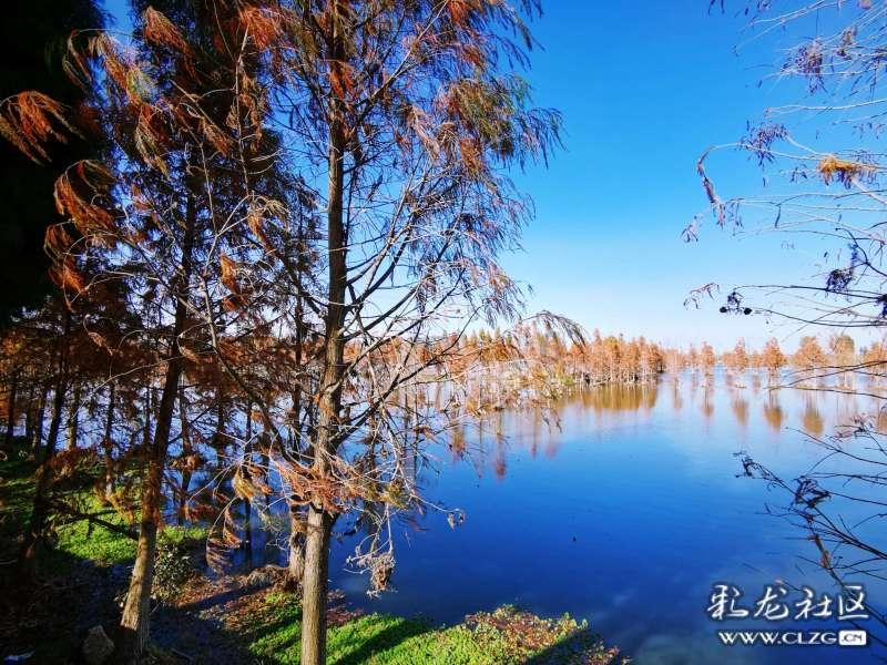 精彩“篮”不住 博乐市返乡大学生篮球全州邀请赛热血开赛