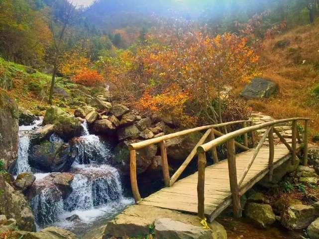 塞尔达：荒野之息